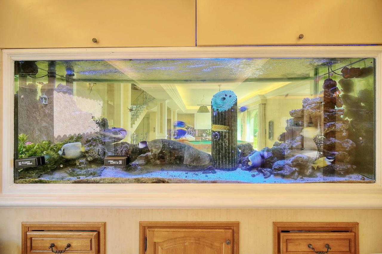 "Au Havre De Paix" 5 Etoiles Prestige Jacuzzi, Hammam, Sauna, Piscine Chauffee Mougins Cannes Grasse Eksteriør bilde